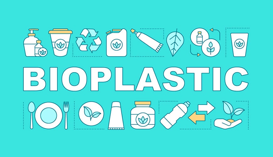 Green alternatives for plastic containers wholesale